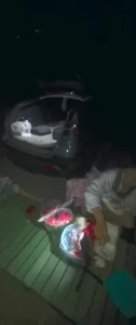 车外 被人看